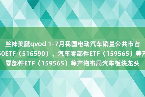 丝袜美腿qvod 1-7月我国电动汽车销量公共市占率超六成，智能汽车50ETF（516590）、汽车零部件ETF（159565）等产物布局汽车板块龙头