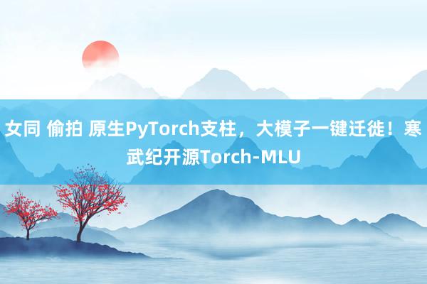 女同 偷拍 原生PyTorch支柱，大模子一键迁徙！寒武纪开源Torch-MLU