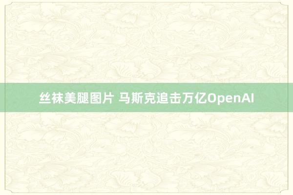 丝袜美腿图片 马斯克追击万亿OpenAI