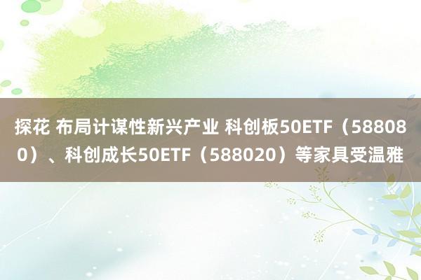 探花 布局计谋性新兴产业 科创板50ETF（588080）、科创成长50ETF（588020）等家具受温雅