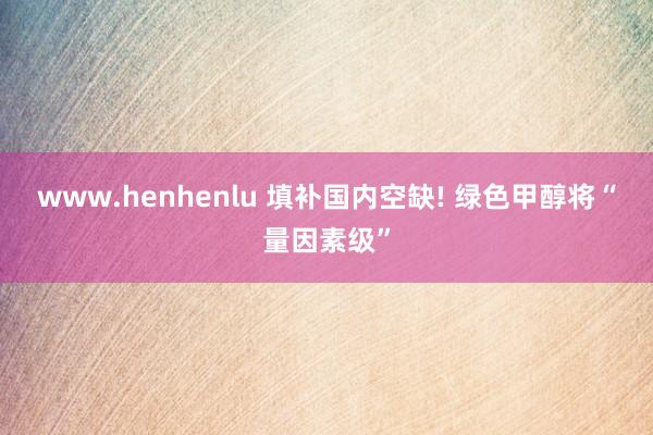 www.henhenlu 填补国内空缺! 绿色甲醇将“量因素级”