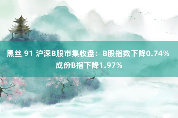 黑丝 91 沪深B股市集收盘：B股指数下降0.74% 成份B指下降1.97%