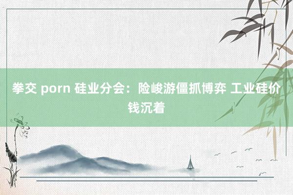 拳交 porn 硅业分会：险峻游僵抓博弈 工业硅价钱沉着