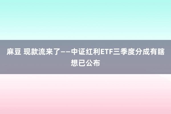 麻豆 现款流来了——中证红利ETF三季度分成有瞎想已公布