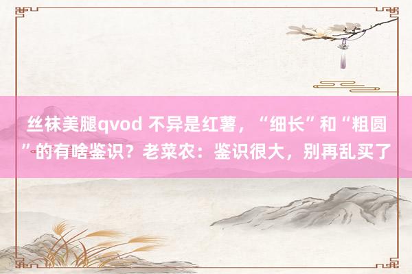 丝袜美腿qvod 不异是红薯，“细长”和“粗圆”的有啥鉴识？老菜农：鉴识很大，别再乱买了