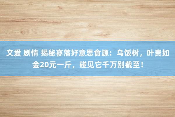 文爱 剧情 揭秘寥落好意思食源：乌饭树，叶贵如金20元一斤，碰见它千万别截至！