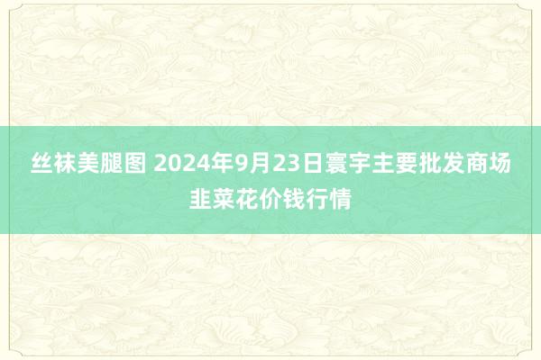 丝袜美腿图 2024年9月23日寰宇主要批发商场韭菜花价钱行情