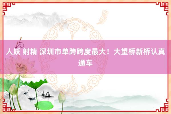 人妖 射精 深圳市单跨跨度最大！大望桥新桥认真通车