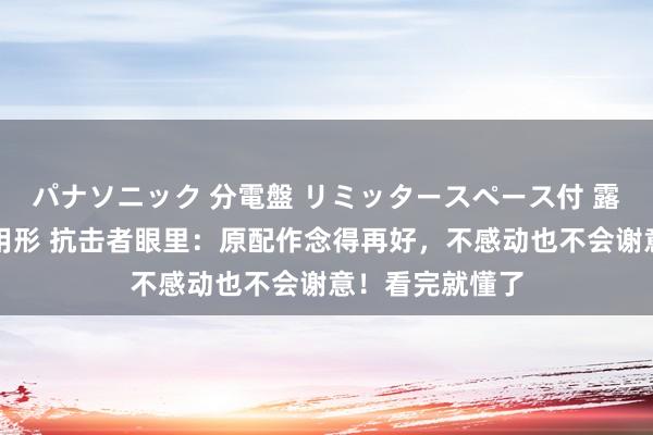 パナソニック 分電盤 リミッタースペース付 露出・半埋込両用形 抗击者眼里：原配作念得再好，不感动也不会谢意！看完就懂了