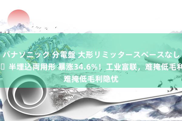 パナソニック 分電盤 大形リミッタースペースなし 露出・半埋込両用形 暴涨34.6%！工业富联，难掩低毛利隐忧