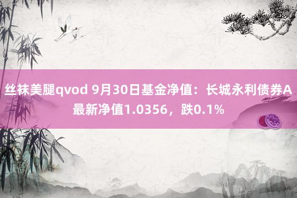 丝袜美腿qvod 9月30日基金净值：长城永利债券A最新净值1.0356，跌0.1%