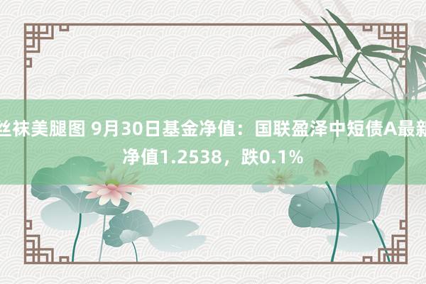 丝袜美腿图 9月30日基金净值：国联盈泽中短债A最新净值1.2538，跌0.1%