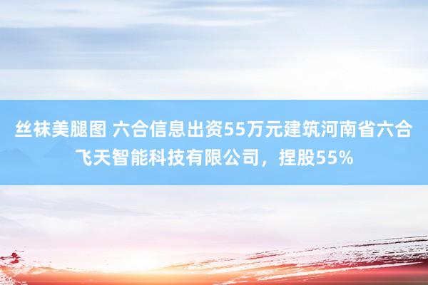 丝袜美腿图 六合信息出资55万元建筑河南省六合飞天智能科技有限公司，捏股55%