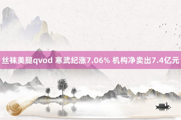 丝袜美腿qvod 寒武纪涨7.06% 机构净卖出7.4亿元