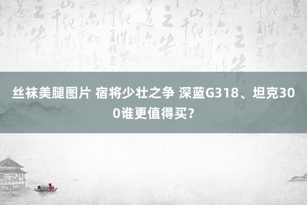 丝袜美腿图片 宿将少壮之争 深蓝G318、坦克300谁更值得买？