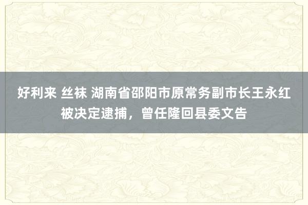 好利来 丝袜 湖南省邵阳市原常务副市长王永红被决定逮捕，曾任隆回县委文告