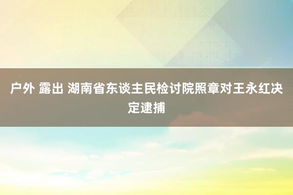 户外 露出 湖南省东谈主民检讨院照章对王永红决定逮捕