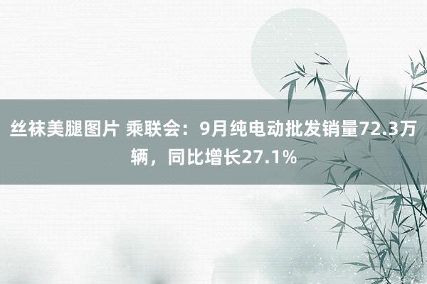 丝袜美腿图片 乘联会：9月纯电动批发销量72.3万辆，同比增长27.1%