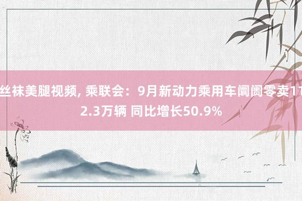 丝袜美腿视频， 乘联会：9月新动力乘用车阛阓零卖112.3万辆 同比增长50.9%