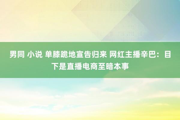 男同 小说 单膝跪地宣告归来 网红主播辛巴：目下是直播电商至暗本事