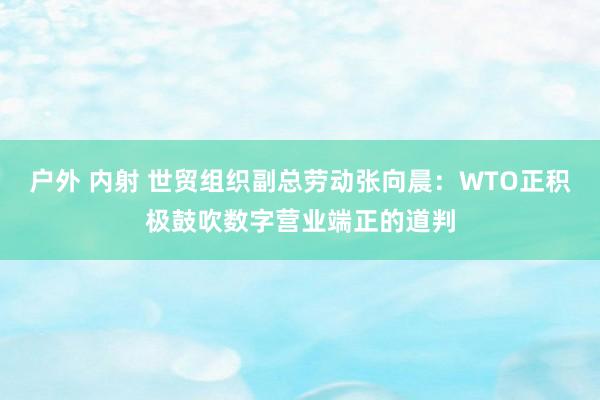 户外 内射 世贸组织副总劳动张向晨：WTO正积极鼓吹数字营业端正的道判