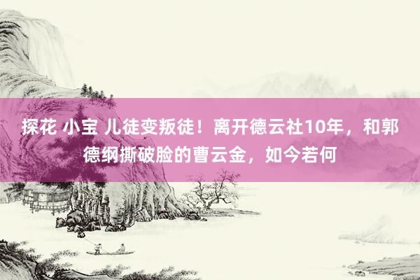 探花 小宝 儿徒变叛徒！离开德云社10年，和郭德纲撕破脸的曹云金，如今若何