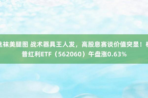 丝袜美腿图 战术器具王人发，高股息赛谈价值突显！标普红利ETF（562060）午盘涨0.63%