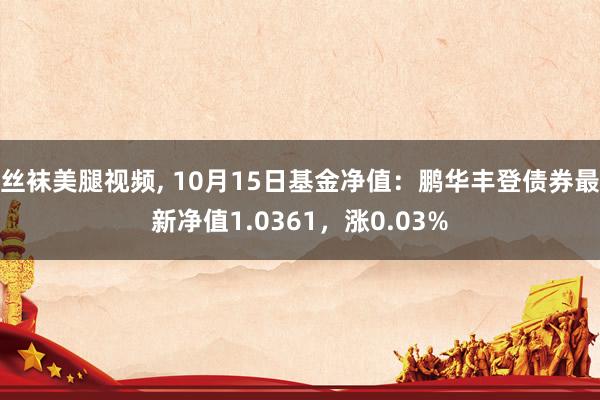 丝袜美腿视频， 10月15日基金净值：鹏华丰登债券最新净值1.0361，涨0.03%