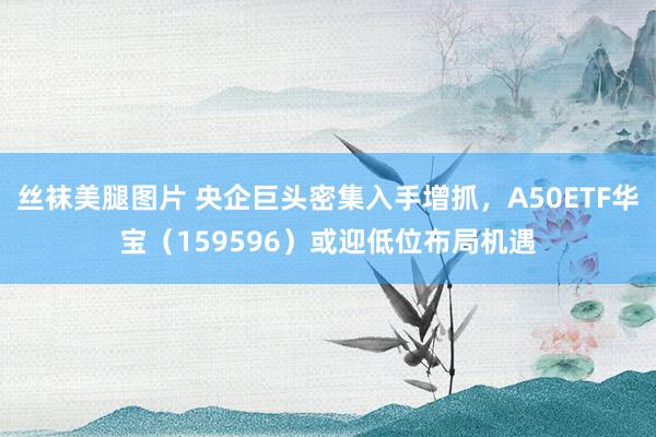 丝袜美腿图片 央企巨头密集入手增抓，A50ETF华宝（159596）或迎低位布局机遇