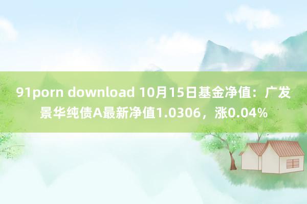 91porn download 10月15日基金净值：广发景华纯债A最新净值1.0306，涨0.04%