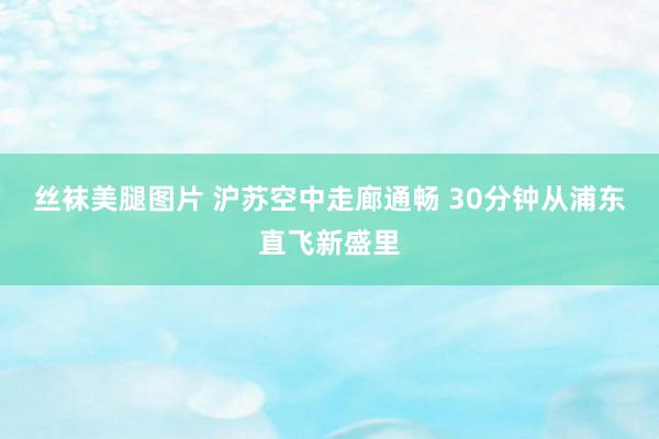 丝袜美腿图片 沪苏空中走廊通畅 30分钟从浦东直飞新盛里