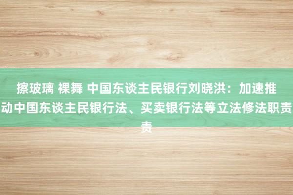 擦玻璃 裸舞 中国东谈主民银行刘晓洪：加速推动中国东谈主民银行法、买卖银行法等立法修法职责