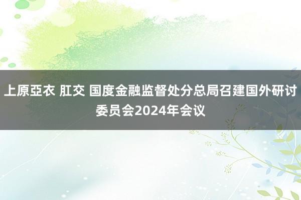 上原亞衣 肛交 国度金融监督处分总局召建国外研讨委员会2024年会议