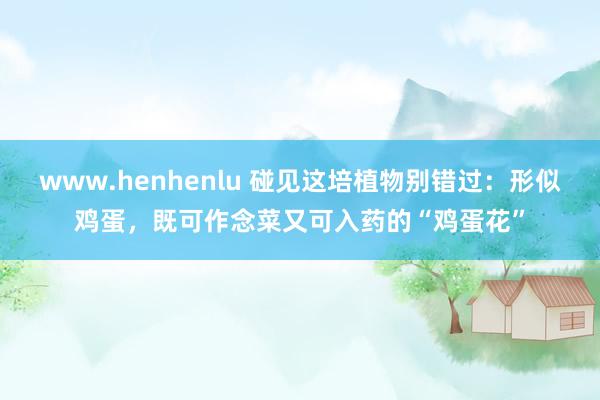 www.henhenlu 碰见这培植物别错过：形似鸡蛋，既可作念菜又可入药的“鸡蛋花”