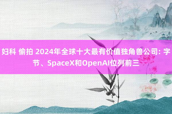 妇科 偷拍 2024年全球十大最有价值独角兽公司: 字节、SpaceX和OpenAI位列前三