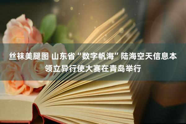 丝袜美腿图 山东省“数字帆海”陆海空天信息本领立异行使大赛在青岛举行