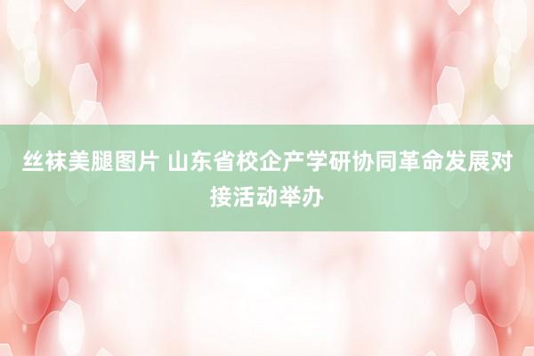 丝袜美腿图片 山东省校企产学研协同革命发展对接活动举办