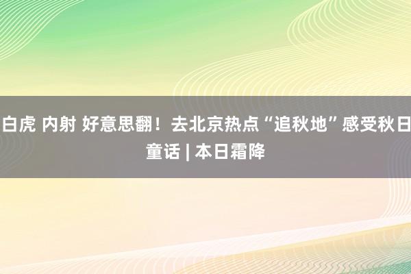 白虎 内射 好意思翻！去北京热点“追秋地”感受秋日童话 | 本日霜降