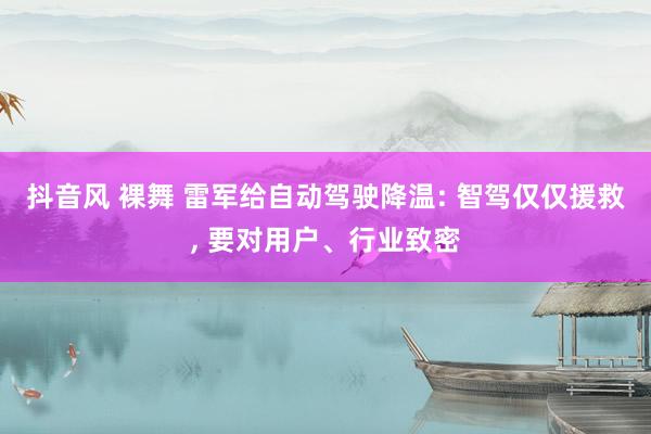 抖音风 裸舞 雷军给自动驾驶降温: 智驾仅仅援救， 要对用户、行业致密