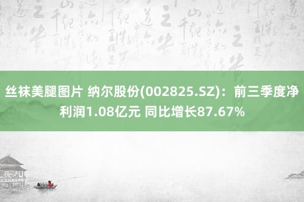 丝袜美腿图片 纳尔股份(002825.SZ)：前三季度净利润1.08亿元 同比增长87.67%