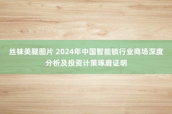 丝袜美腿图片 2024年中国智能锁行业商场深度分析及投资计策琢磨证明