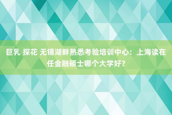 巨乳 探花 无锡湖畔熟悉考验培训中心：上海读在任金融硕士哪个大学好？