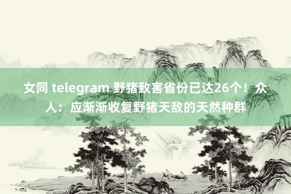 女同 telegram 野猪致害省份已达26个！众人：应渐渐收复野猪天敌的天然种群