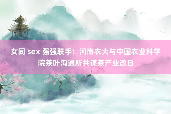 女同 sex 强强联手！河南农大与中国农业科学院茶叶沟通所共谋茶产业改日