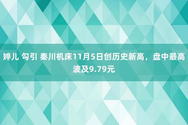 婷儿 勾引 秦川机床11月5日创历史新高，盘中最高波及9.79元