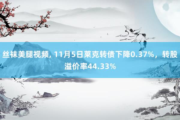 丝袜美腿视频， 11月5日莱克转债下降0.37%，转股溢价率44.33%