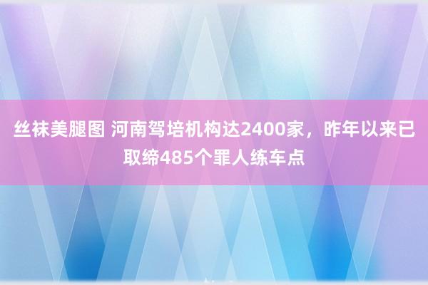 丝袜美腿图 河南驾培机构达2400家，昨年以来已取缔485个罪人练车点