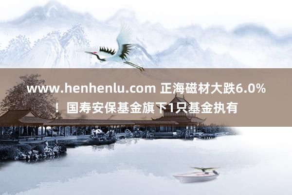 www.henhenlu.com 正海磁材大跌6.0%！国寿安保基金旗下1只基金执有