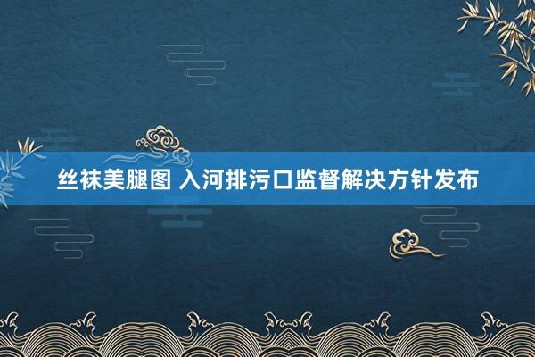 丝袜美腿图 入河排污口监督解决方针发布