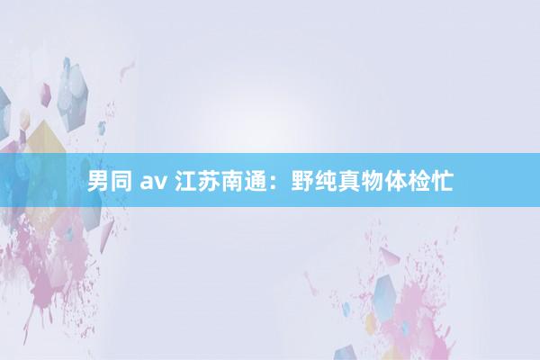 男同 av 江苏南通：野纯真物体检忙